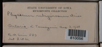 Image Associated With the Occurence